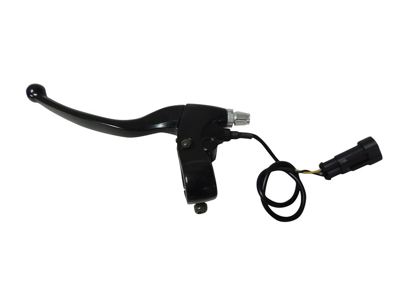 FREN KOLU SOL (REGNUM) - REGNUM